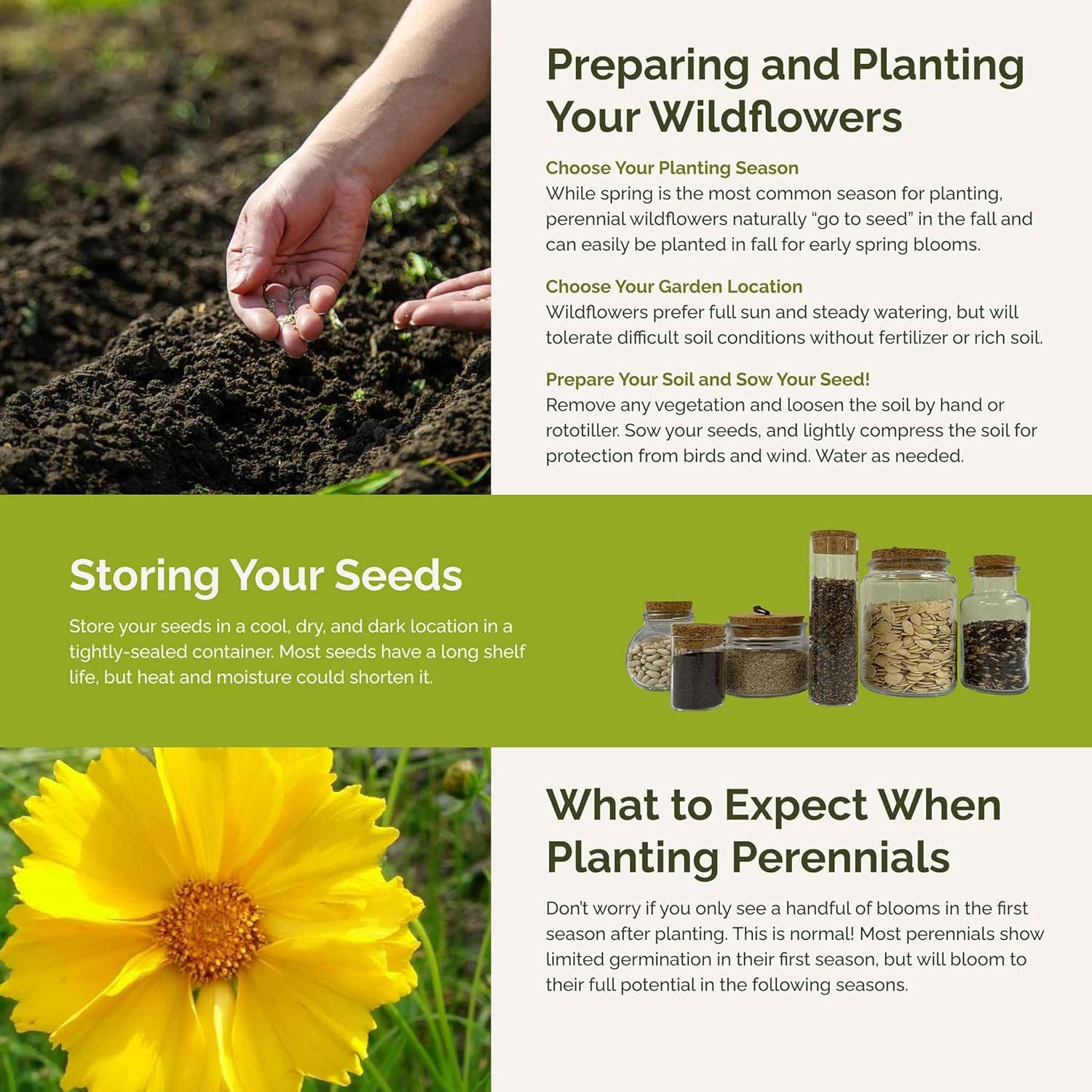 Eden Brothers Rock Garden Perennial Wildflower Mixed Seeds for Planting, 1/4 lb, 120,000+ Seeds with Rock Cress, Yarrow Mix | Attracts Pollinators, Plant in Spring or Fall, Zones