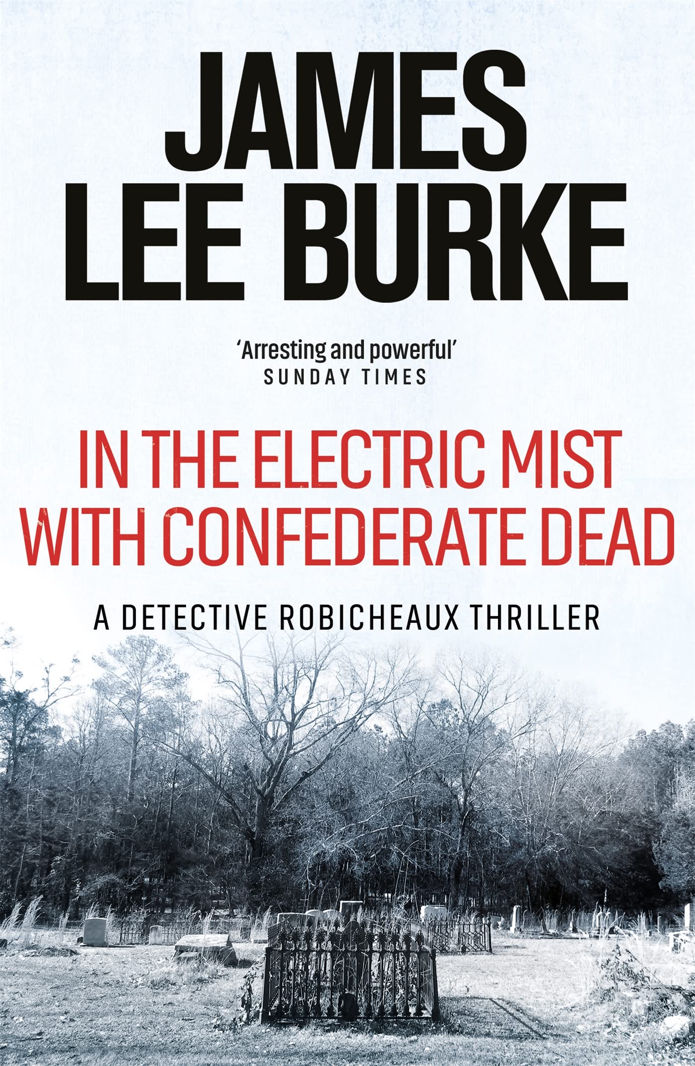 In the Electric Mist With Confederate Dead by James Lee  Burke (Paperback Book)