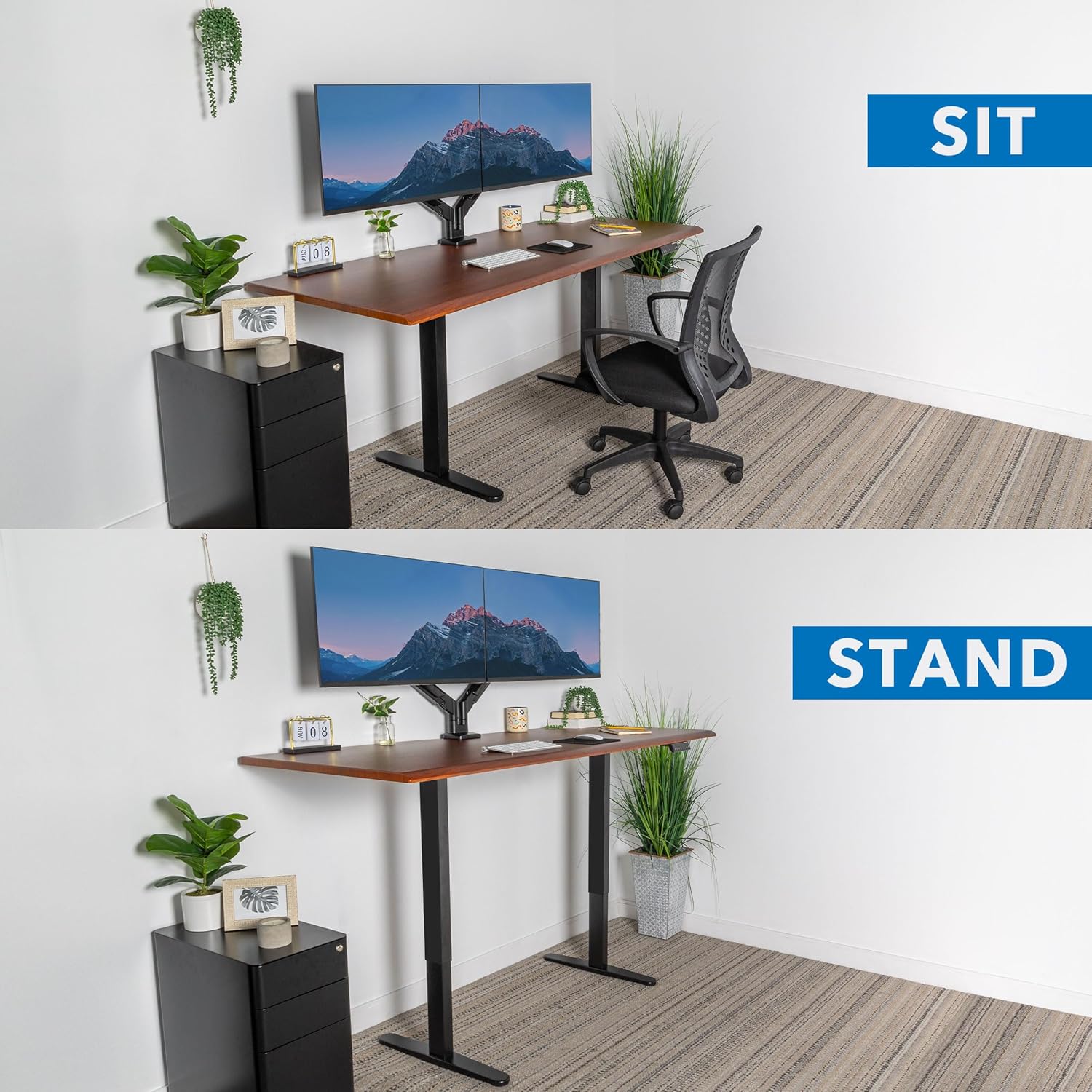 Mount-It! 72" Premium Woodgrain Electric Standing Desk – Hazelnut Adjustable Height Executive Sit Stand Desk with Memory Settings, Black Frame, Ergonomic Edge, One-Piece Desktop