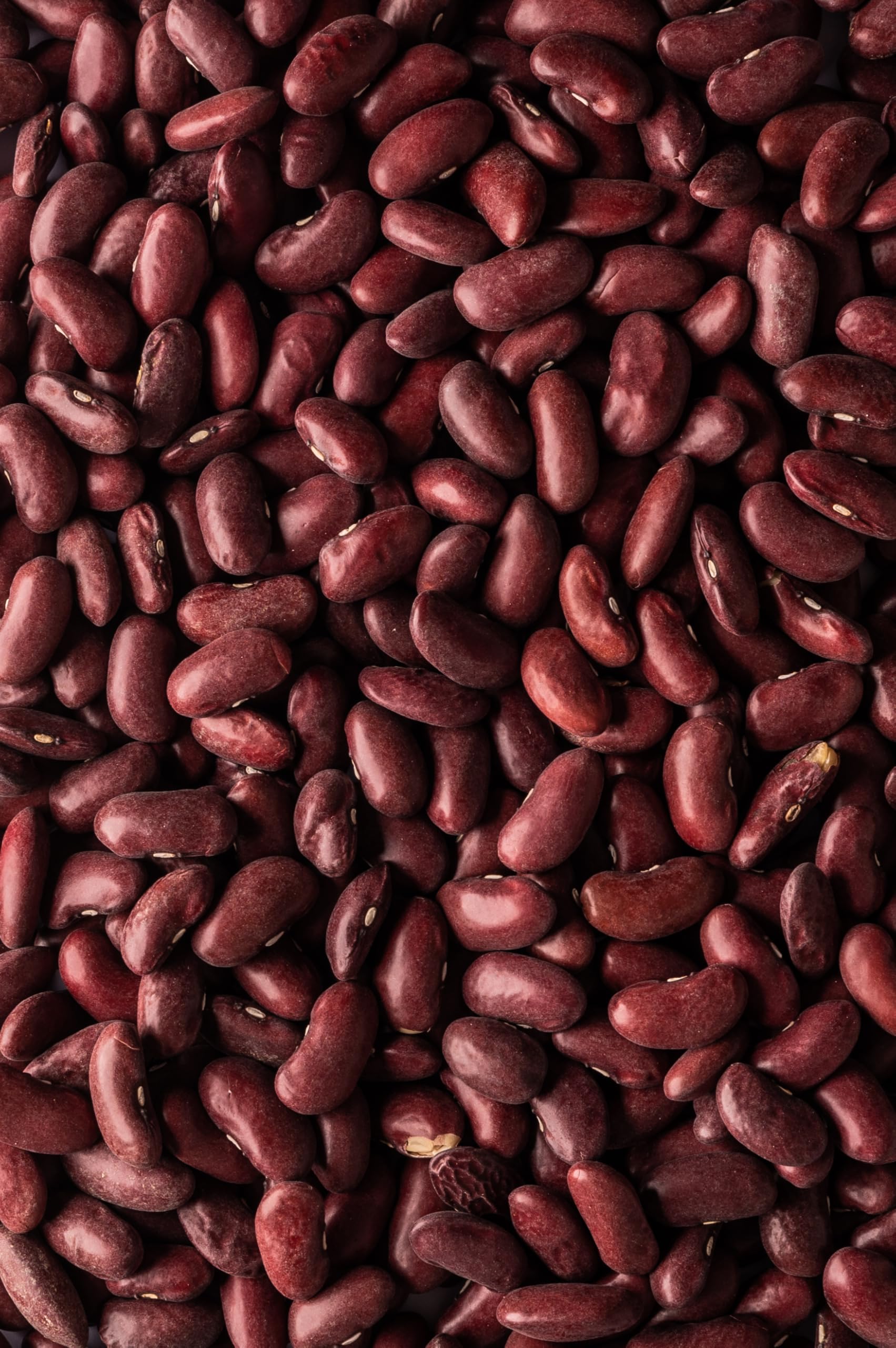 Biojoy Frijoles rojos (Kidney) Ecológicos (1,5 kg), enteros y sin aditivos