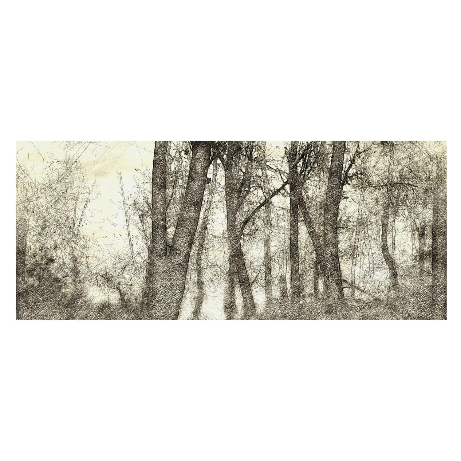 Mural fotográfico de bosque para pared de oficina que transforma salas de reuniones aburridas
