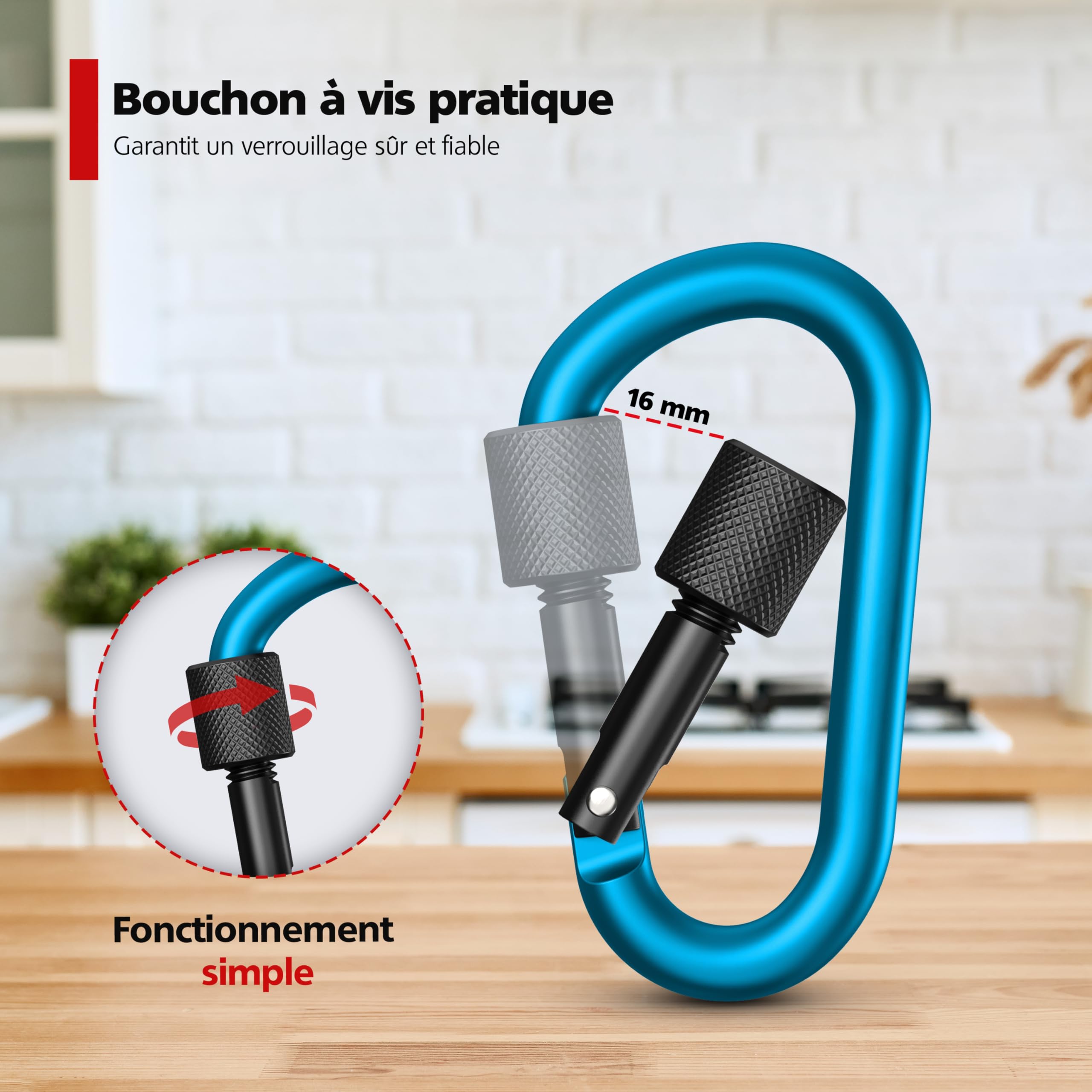 RAVN HAMAN 10 x Mousquetons de sécurité - Coloris - - Mousqueton à vis jusqu'à 30 kg - - Mousquetons pour l'intérieur et l'extérieur - - Crochets pour hamacs, Sacs de Frappe, Porte-clés, etc.