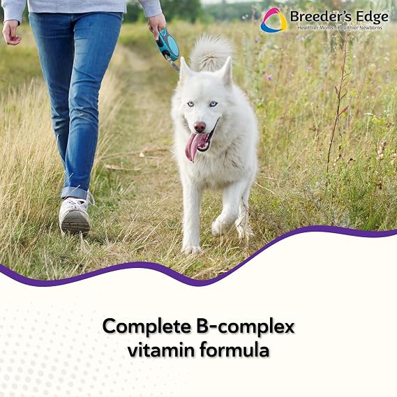 Breeder's Edge B Strong Liquid Vitamin B Supplement for Dogs & Cats, 32 oz