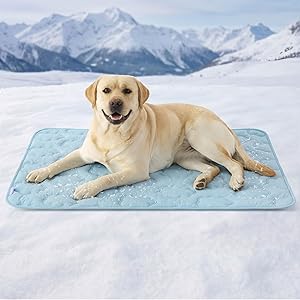 LESURE 犬用ひんやりマット ペット用クールマット ペット用シーツ 接触冷感 夏用 Q-Max>0.5 メッシュ 軽量 折り畳め 滑り止め 持ち運び 丸洗いOK お手入れ簡単” loading=”lazy” /><br />
</a>
</div>
<div class=