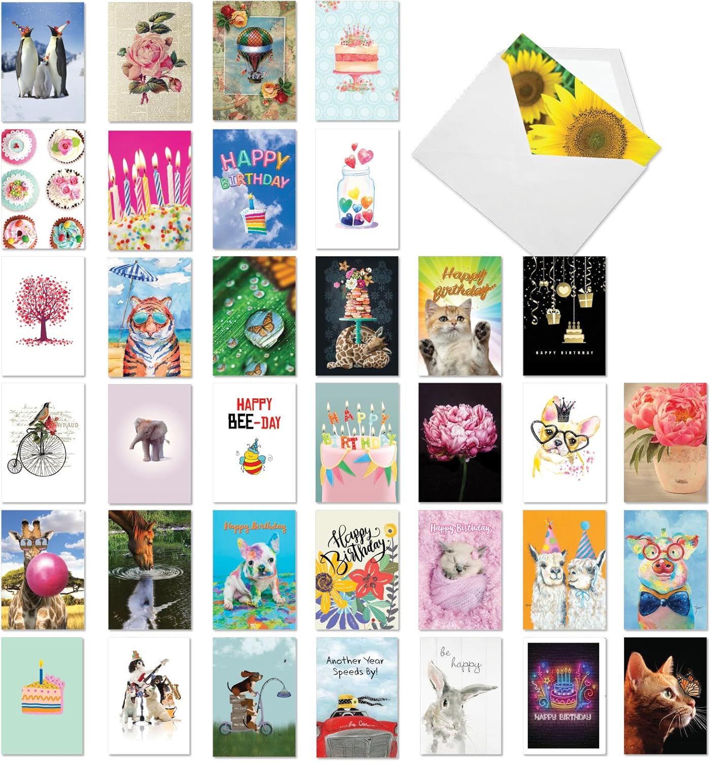 NobleWorks 36 Assorted Box Set Birthday Greeting Cards w/5 x 7 Inch Envelopes (36 Designs, 1 Each) Bday A Bunch Of Birthdays AC7744BDG-B1x36