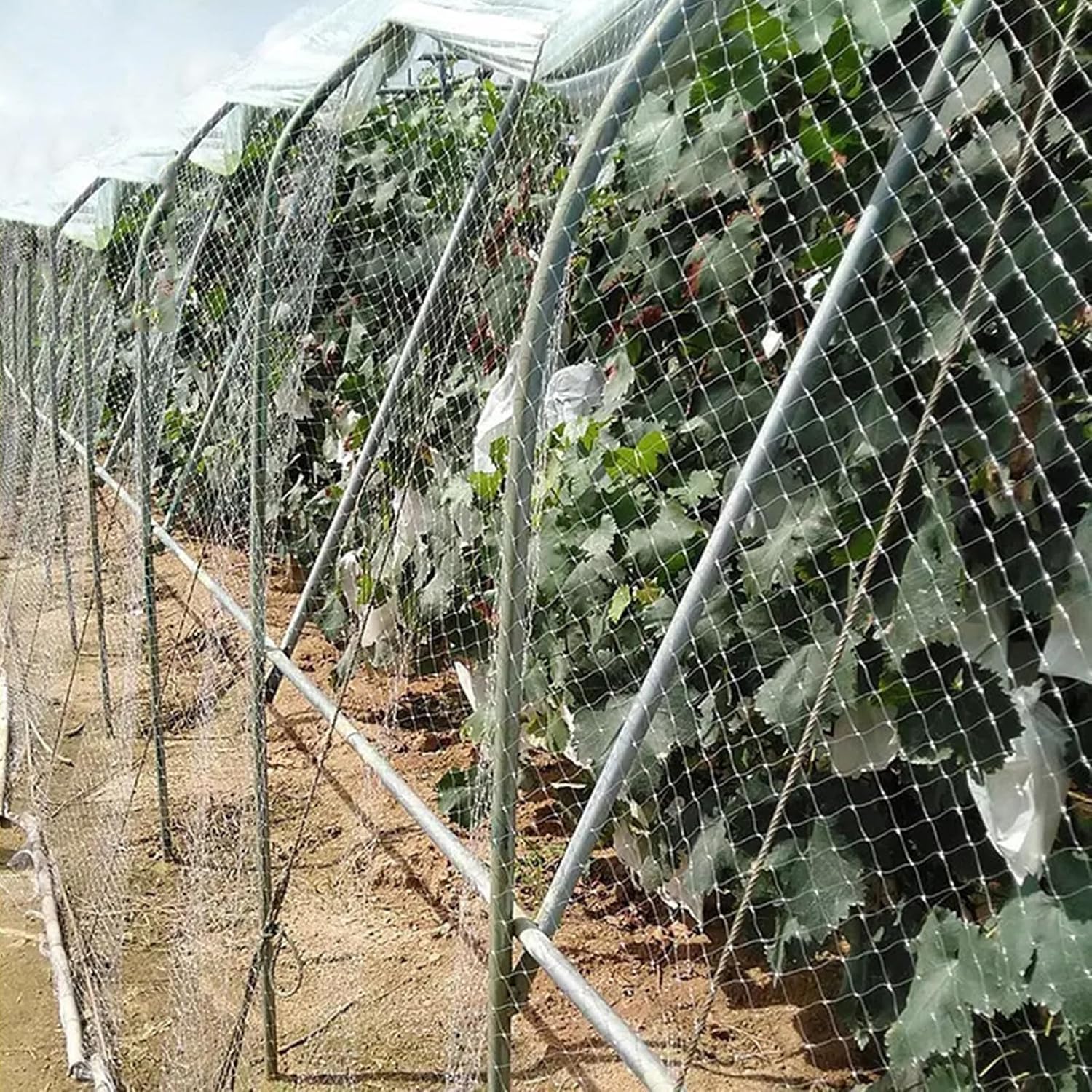 Rete da giardino (rete commerciale for uccelli for piante/alberi frutto/fragole) recinzione in plastica resistente bianca barriera for animali(7x7m/23x23ft)
