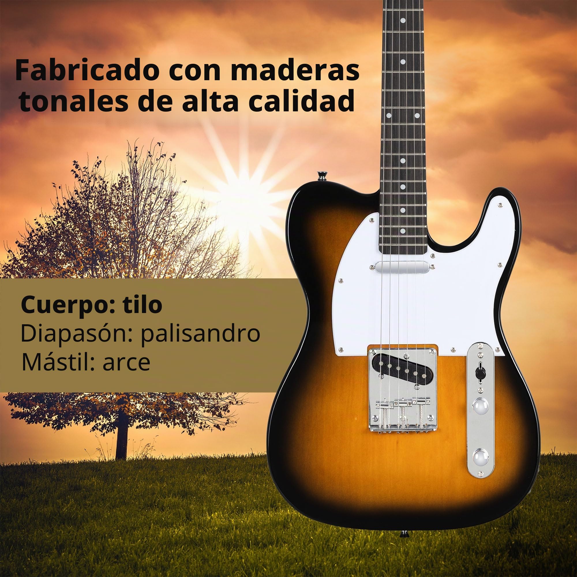 Rocktile Pro TL100-SB Guitarra Eléctrica 2-Tone Sunburst