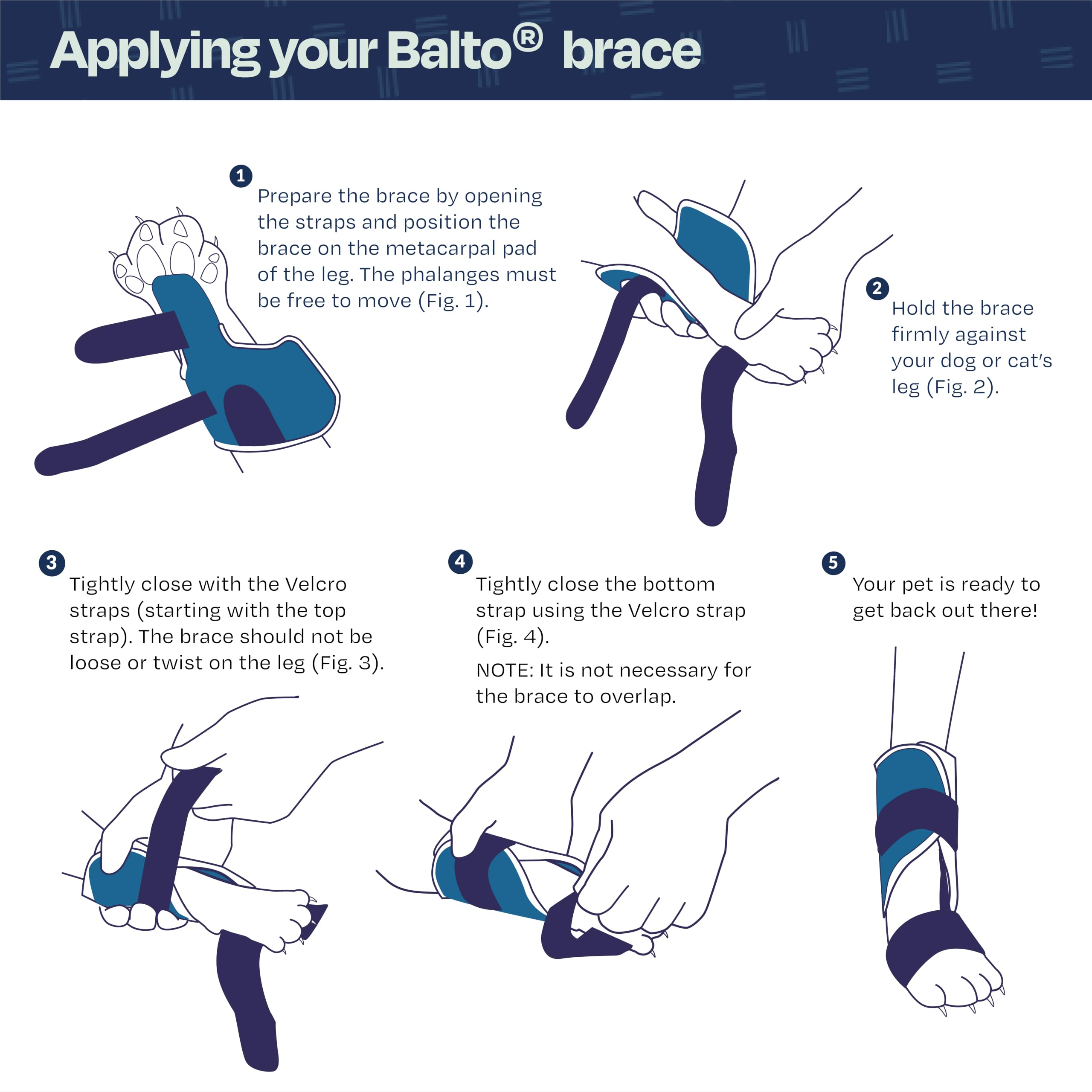 Balto Tutore per gatti con stecca per carpale/tarsale, tutore per iperestensione per gatti, tutore con stecca in alluminio, supporta fratture e distorsioni, supporto per gamba anteriore, extra piccolo