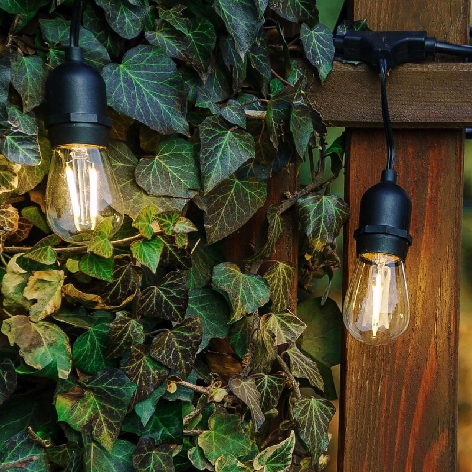 Luccika 5 Meter Lichterkette mit 10 klaren Birnen S14 LED warmweiß Vintage mit schwarzem Kabel verlängerbar für Außen und Innen IP44 (220 Volt mit Schukostecker)