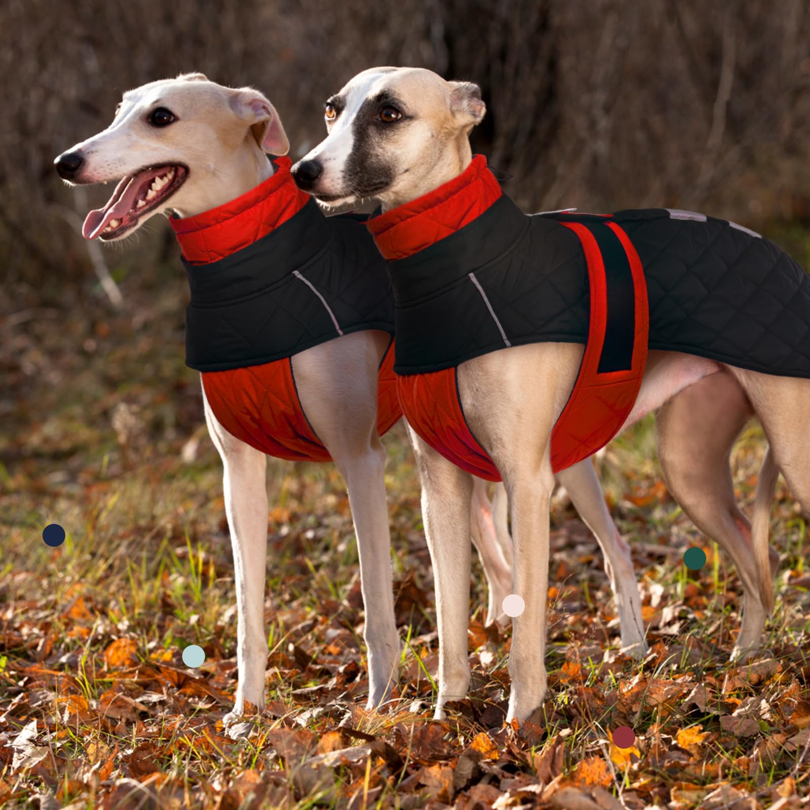 Manteau Levrier Imperméable, Manteau de Chien Grande Veste Chaude Chien Vêtement d'hiver Levrier Pull à Coupe-Vent pour Chiens