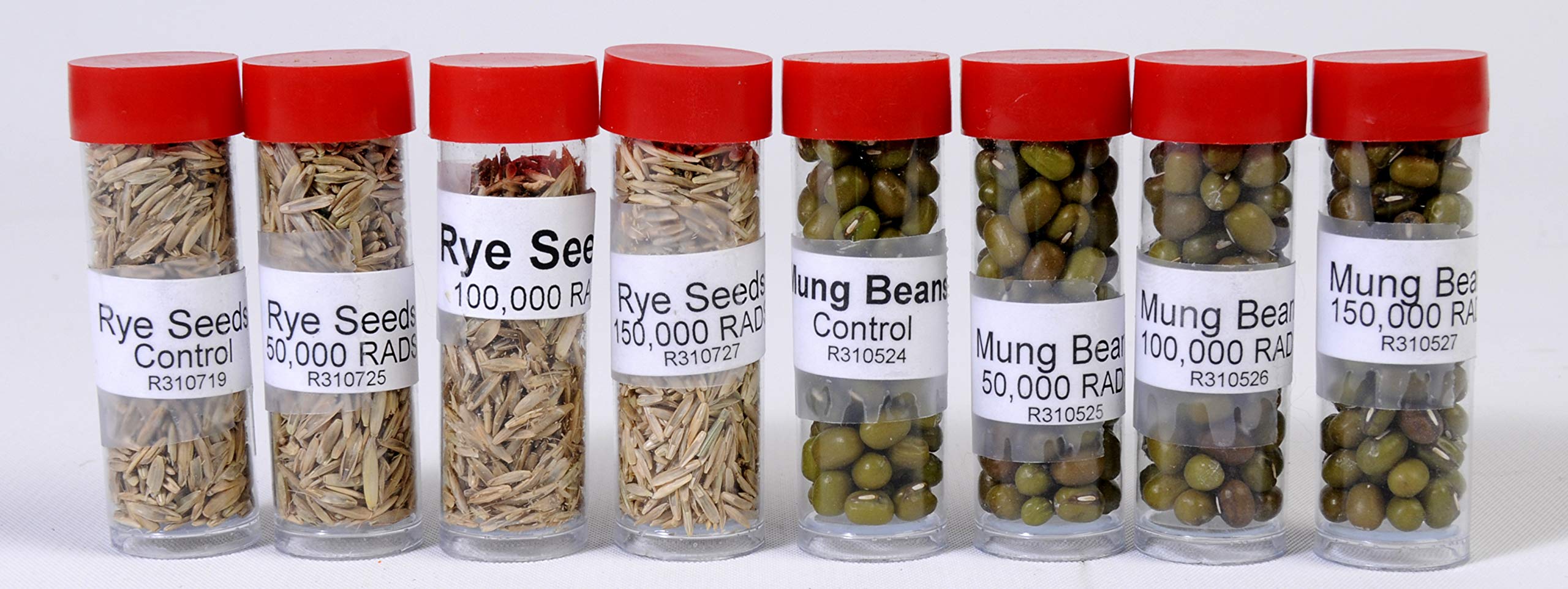 American Educational Environmental Ecology Seed Kit - Image 2