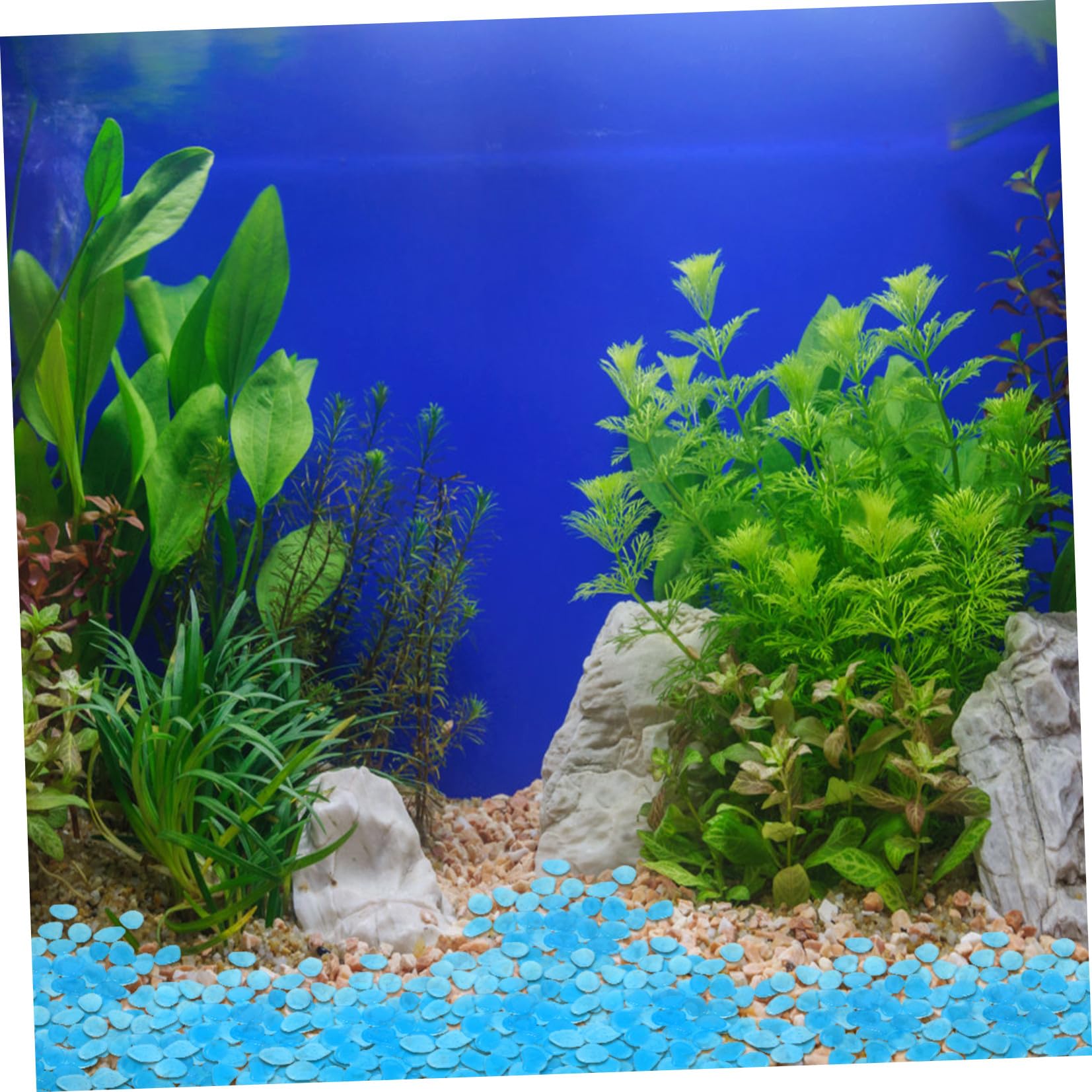 500 Piezas pecera de Piedra Fluorescente Rocas de Acuario a Granel Rocas noctilucentes Rocas de pecera Piedra Acuario Adornos Acuario Piedras de Acuario Rocas Luminosas Resina Blue
