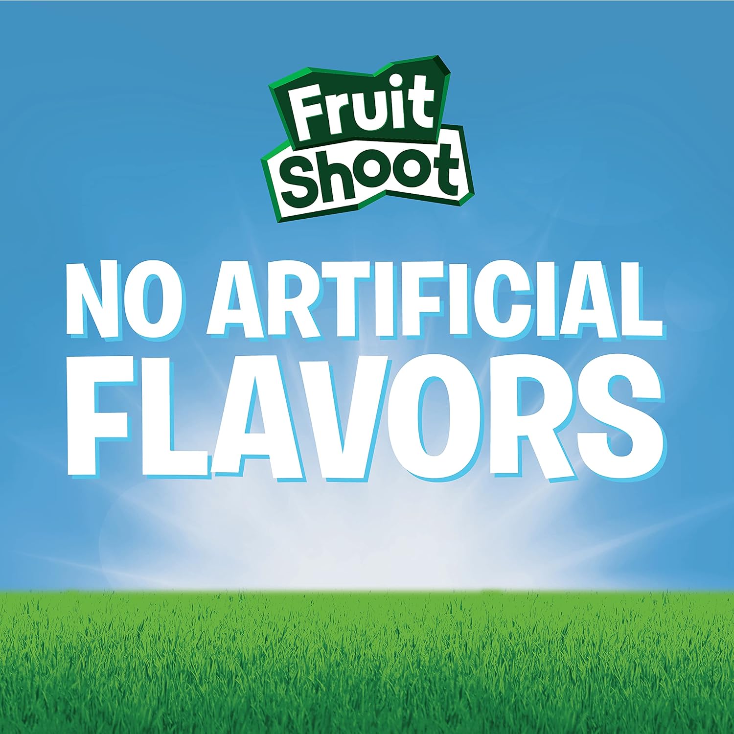 FRUIT SHOOT 10.1oz Bottles Pack, Berry Burst, 24 Count : Everything Else