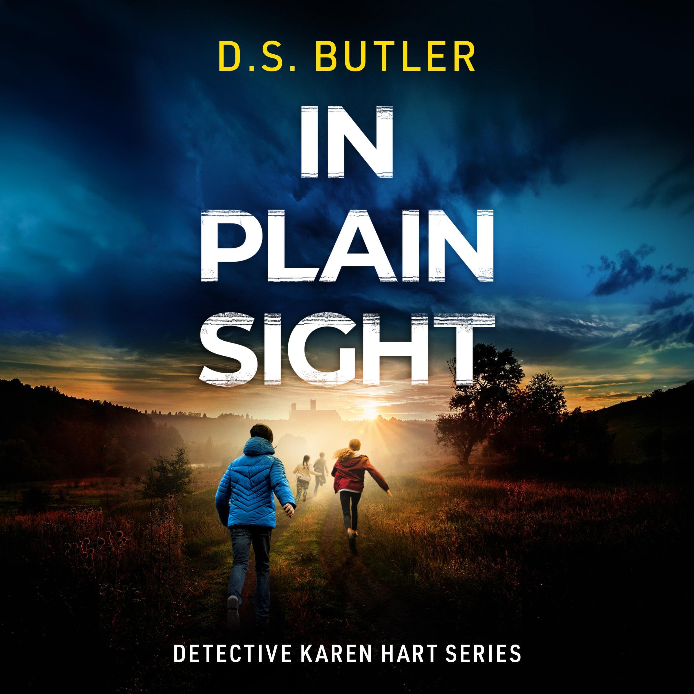 Cover art for In Plain Sight