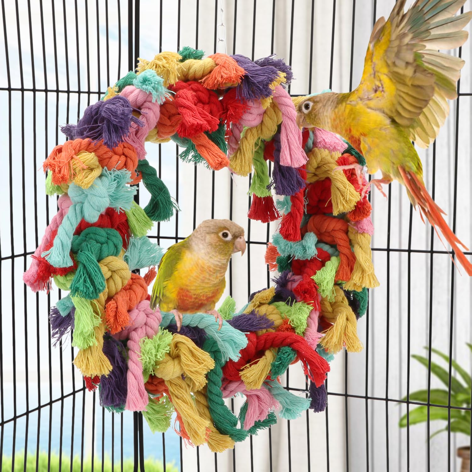 Hypeety Pet Bird Coton Bague Jeu d'exercice à mâcher Coton Snuggle Bague Bird Toy