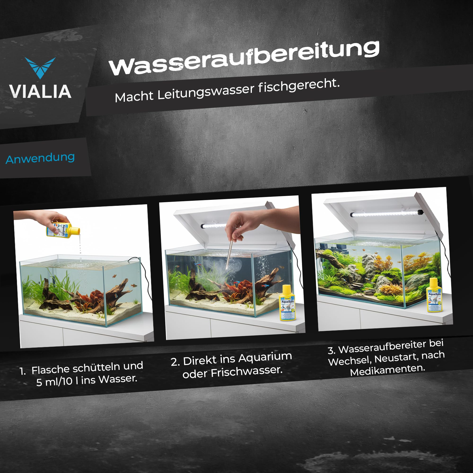 Aquarium Komplettset 54L (60x30x30 cm) mit Juwel LED Abdeckung weiß | Starter-Set inkl. Heizer, Thermometer, Futter & Wasseraufbereiter | Robustes Floatglas Becken | Ideal für Einsteiger