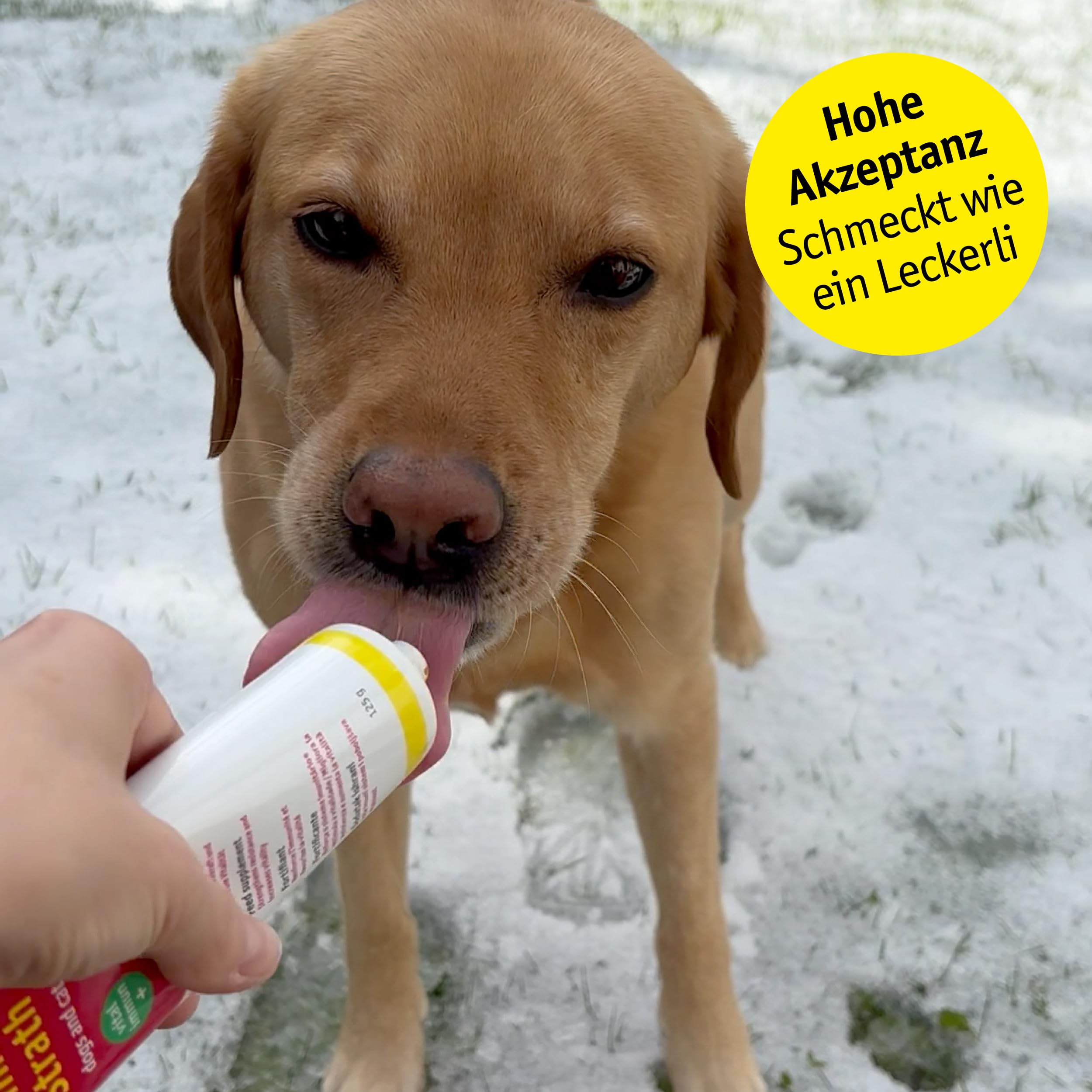 Anima Strath Paste für Katzen und Hunde - (125g) Ergänzungsfutter mit Kräuterhefe, 61 Mikronährstoffen Vitaminen & Mineralstoffen, tägliche Fütterung & Fellpflege