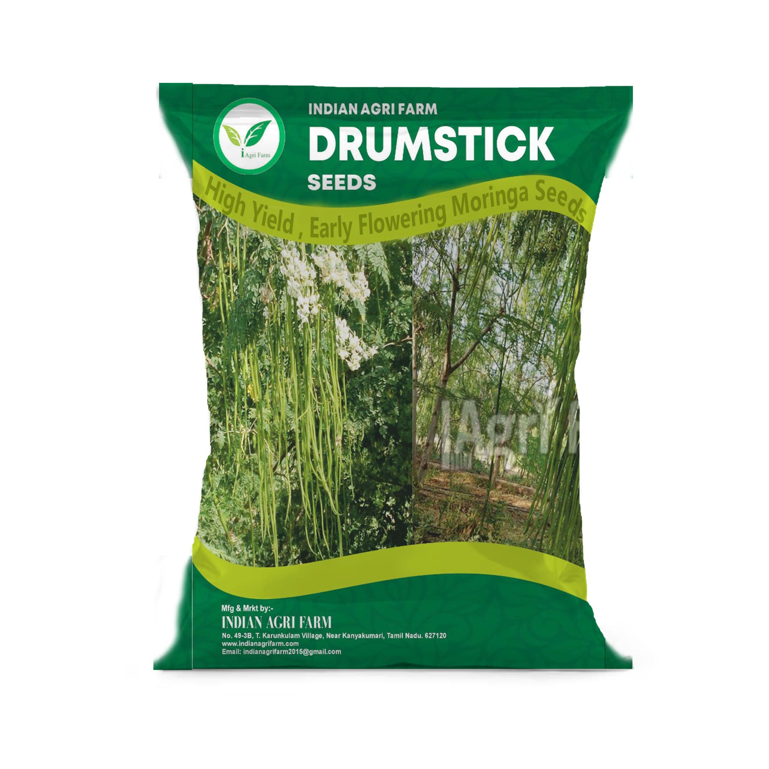 Moringa/Drumstick Seeds - ODC3 Variety 500 Gram for Plantation-picture-10