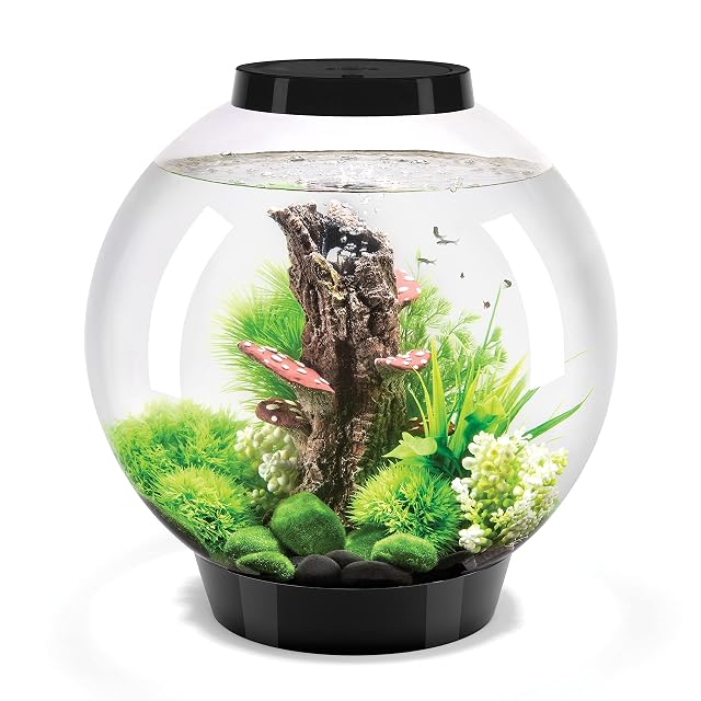 biOrb 72005 CLASSIC 30 LED negro