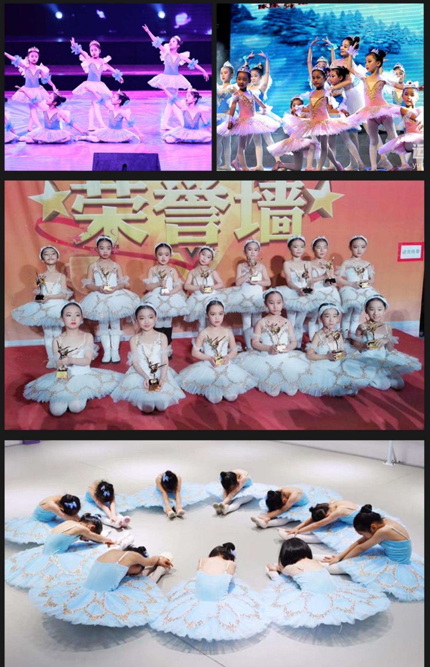Masif Ballet Tutu Falda Mujer Adulta Ballet Profesional Tutu para Niñas Niños Swan Lake Tutu Bailarina Fiesta Baile Bordado Trajes