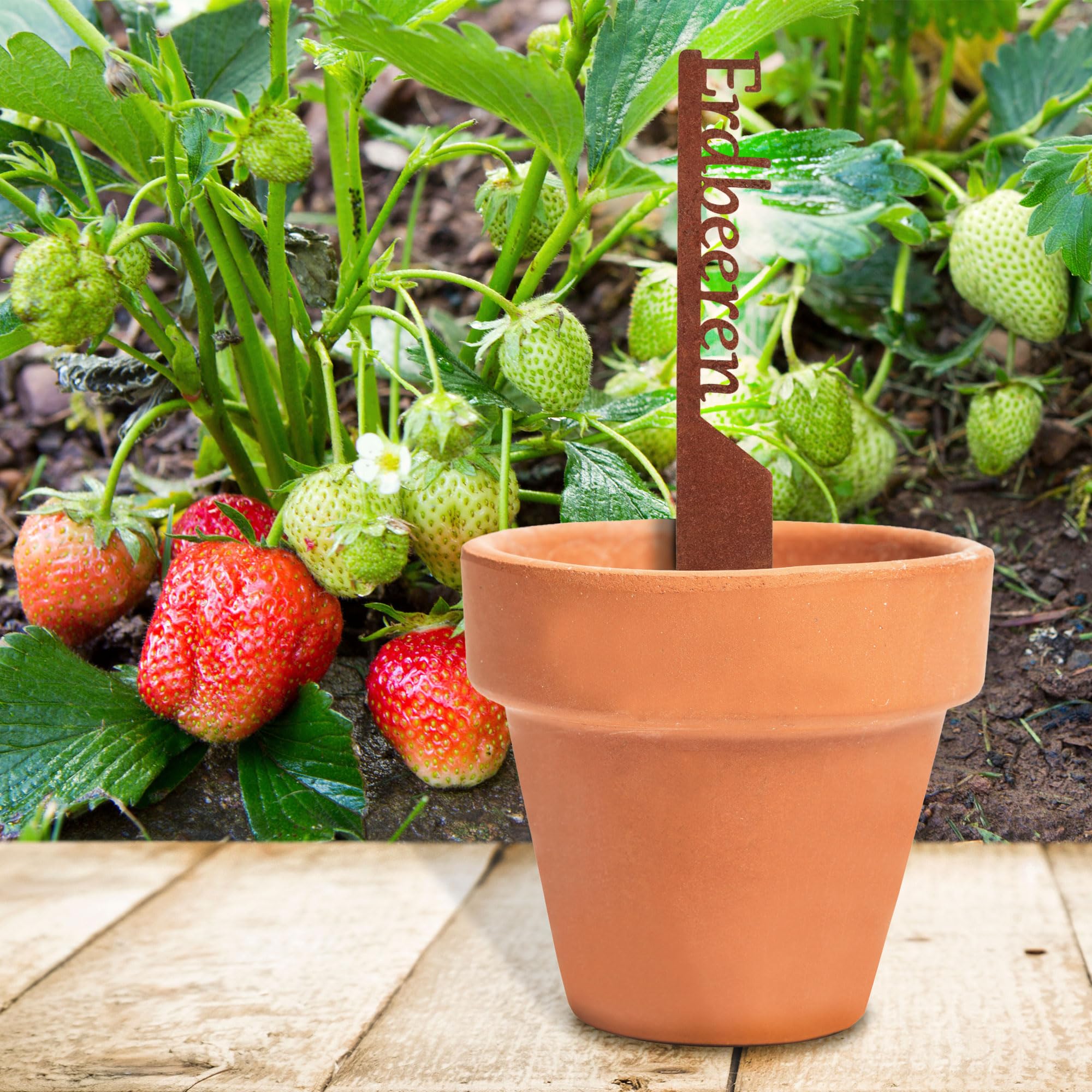 EXTRAVAGANT Garden Stake Metal 'Strawberries' Stake Rust Patina Weatherproof Plant Sign for Garden Bed Decoration 240 mm, Grey - Image 4