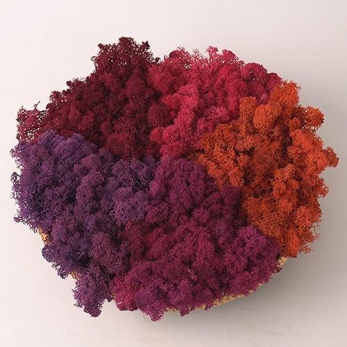 Miniatura 49 de Musgo de Reno Preservado Verde Natural Kit de Bricolaje Arte de Jardinería Decoración de Pared Decoración de Floristería Decoración de Mesa