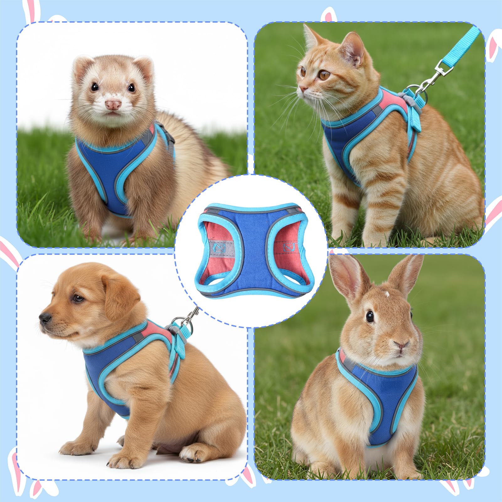 Harnais souple pour lapin avec laisse réglable pour lapin - Accessoires pour chatons - Harnais pour chats et autres petits animaux de compagnie - Bleu, M