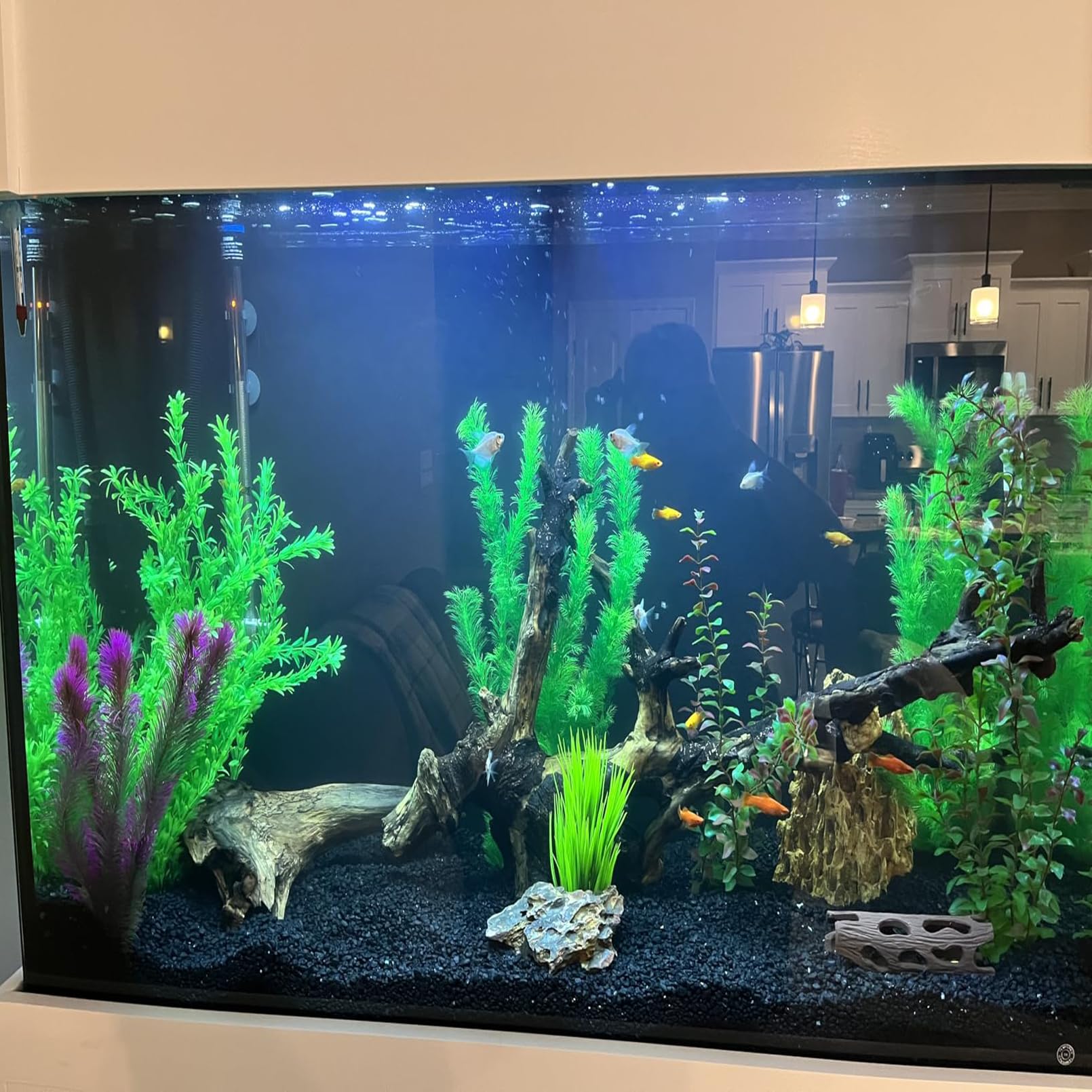 View 8