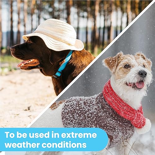 Miniatura 5 de Pawtitas Bálsamo nasal para perros para humectantes, narices secas, agrietadas y crujientes de perro que proporcionan una capa de protección en el