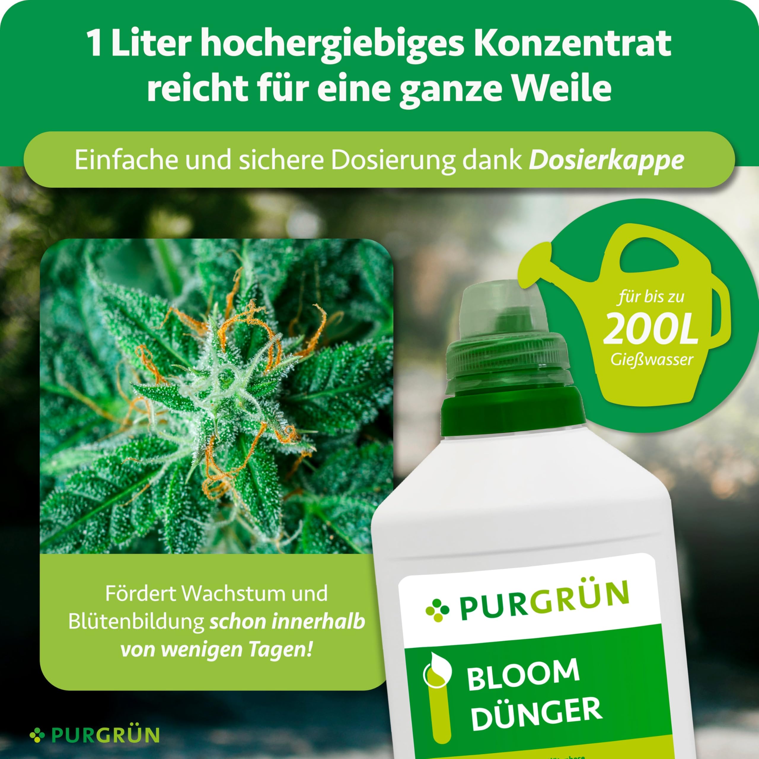 Bloom-Dünger 1 Liter – Fördert Blütenbildung & Ertrag – Extra Kalium stärkt die Widerstandskraft – Für den Anbau Indoor & Outdoor – Premium-Flüssigdünger für Autoflower, Sativa & Indica