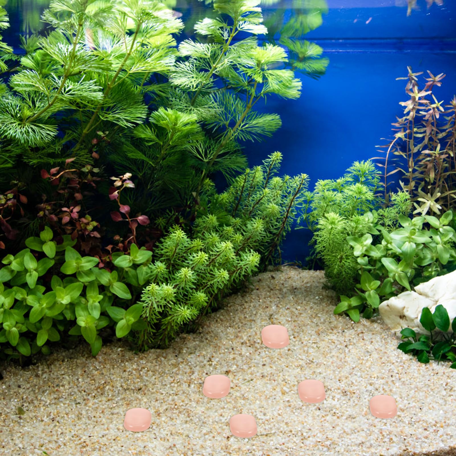 POPETPOP 500kawałki Kamienie Akwarystyczne Compact Pebbles Do Akwarium Dekoracyjne Kamienie Do Stawów Naturalne Żwirki Akwarium