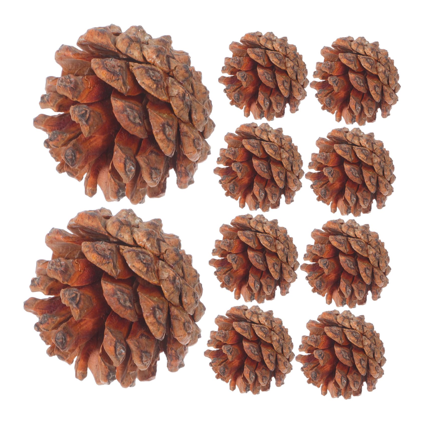 Pommes de Pin Naturelles Décorations Automne pour Table de Mariage