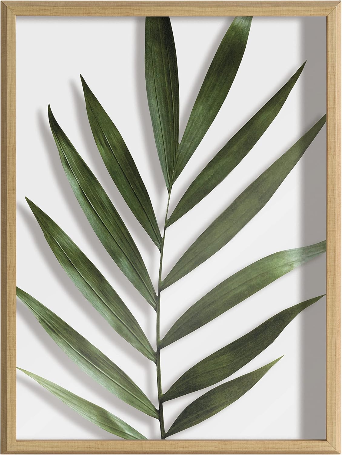 Kate and Laurel Blake Botanical 5F Framed Printed Glass Wall Art by Amy Peterson Art Studio; 18x24 Natural; Modern Bedroom Decor Art for Wall