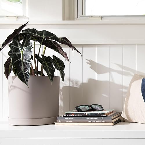 Miniatura 2 de Bloem Mathers - Maceta con bandeja para platillo de 10 pulgadas, color beige