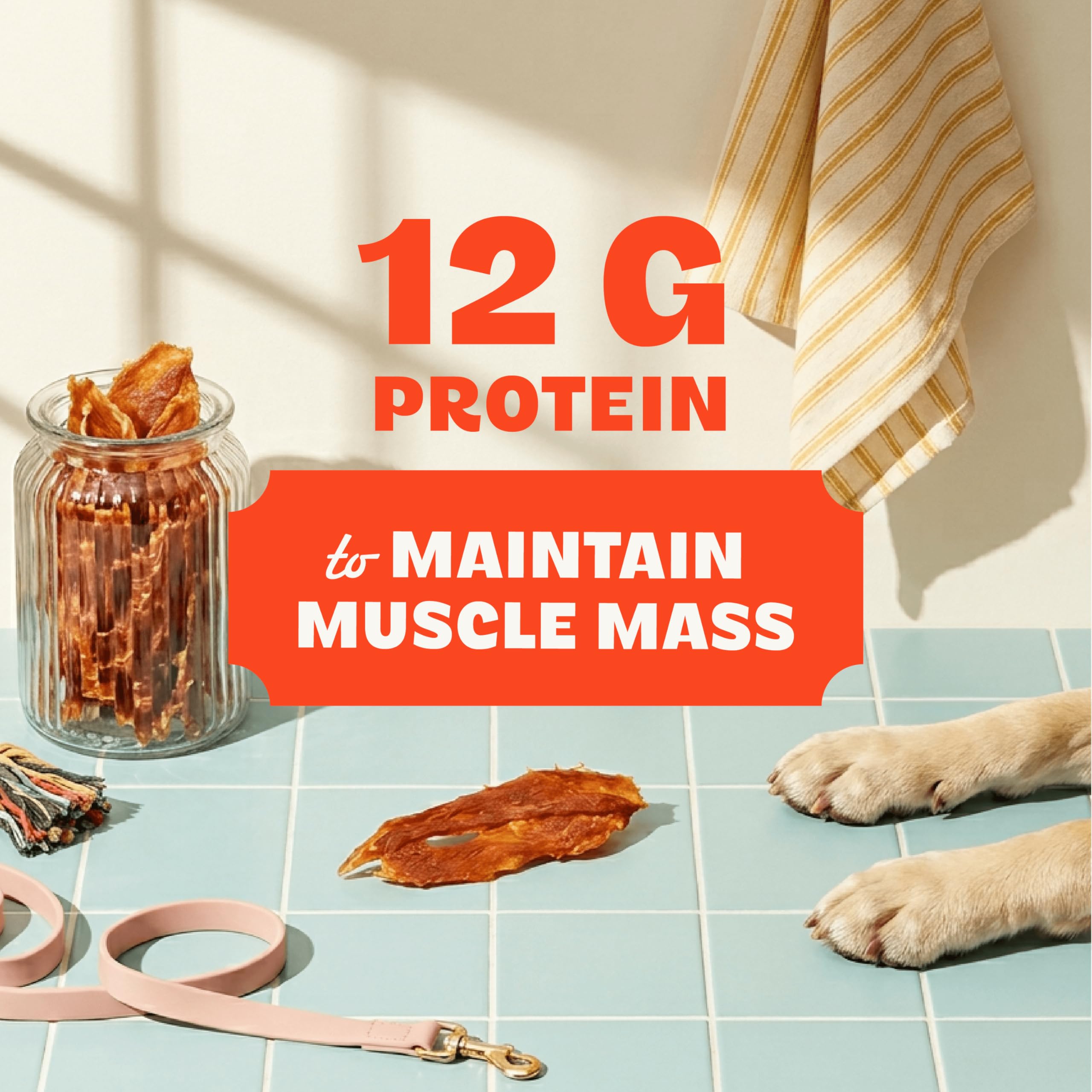 Pur Luv Carne de Pollo para Perros, Hecha de pechuga de Pollo, 907 ml, Saludable, fácil de digerir, Duradera, Rica en proteínas, satisface la Necesidad de Masticar del Perro