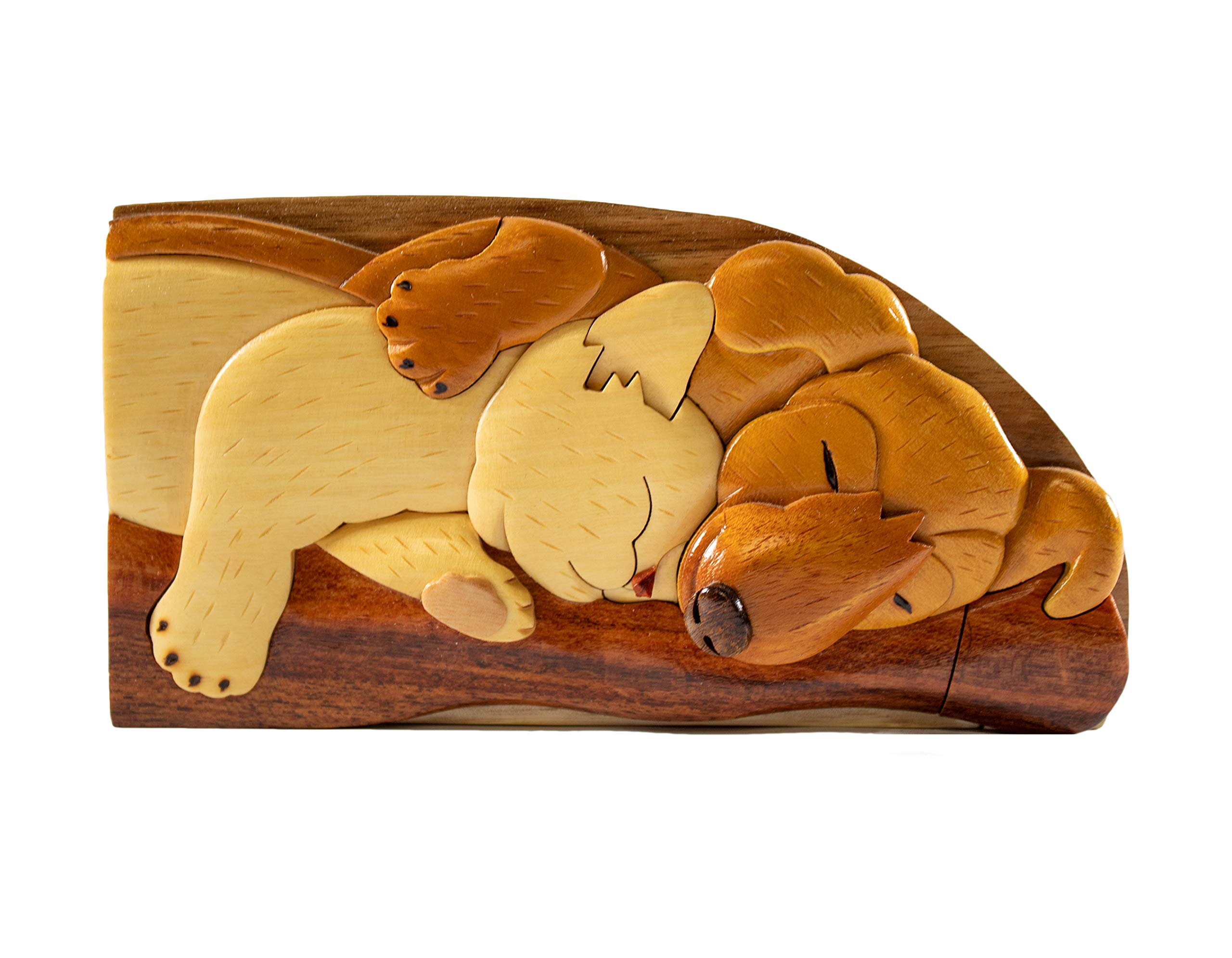 Best Pals Friends cat and Dog Hand-Carved Puzzle Box with No Paints! No Stains! No Two Will Ever be 