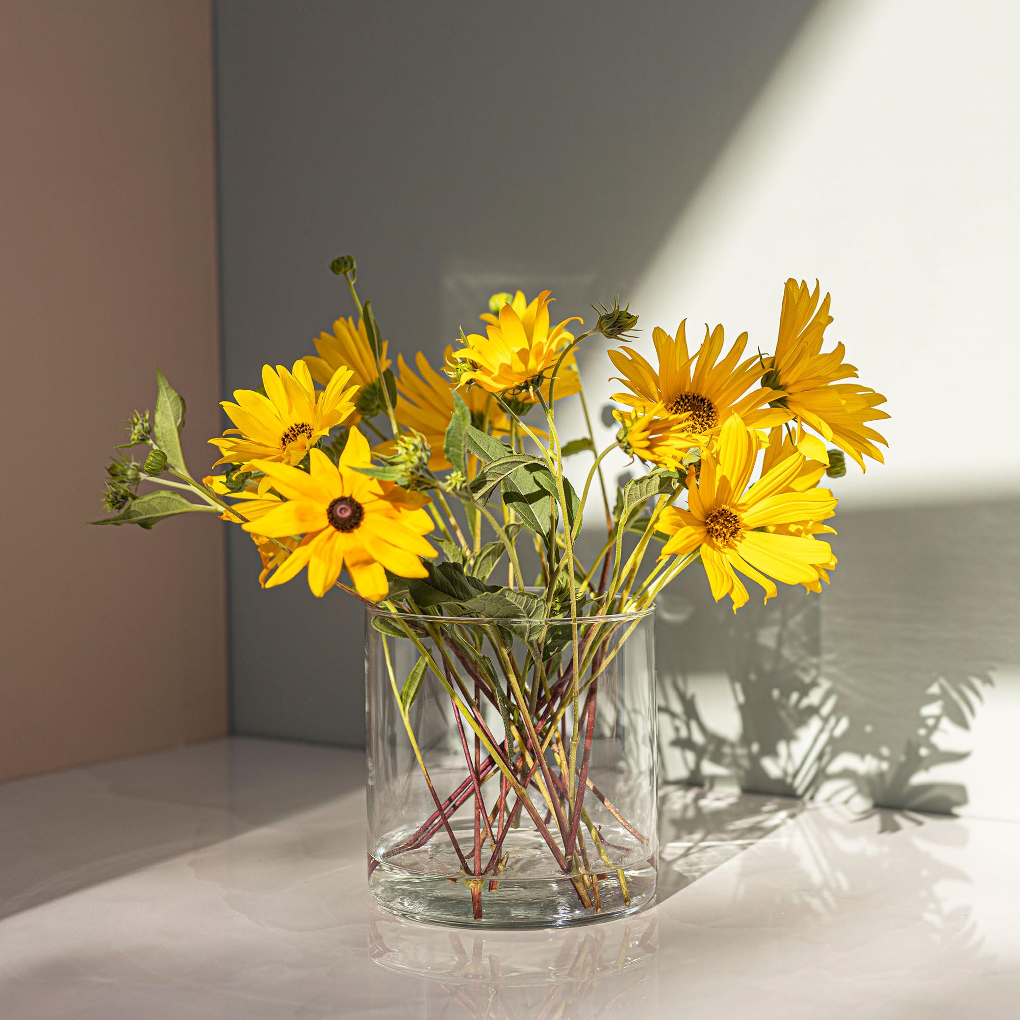 TREND FOR HOME Vaso Vetro Trasparente Cilindrico per Fiori e Tulipani - Decorativo da Interno, Contenitore per Candele, A: 15 cm, ⌀ 15 cm, 2350 ml, Calen