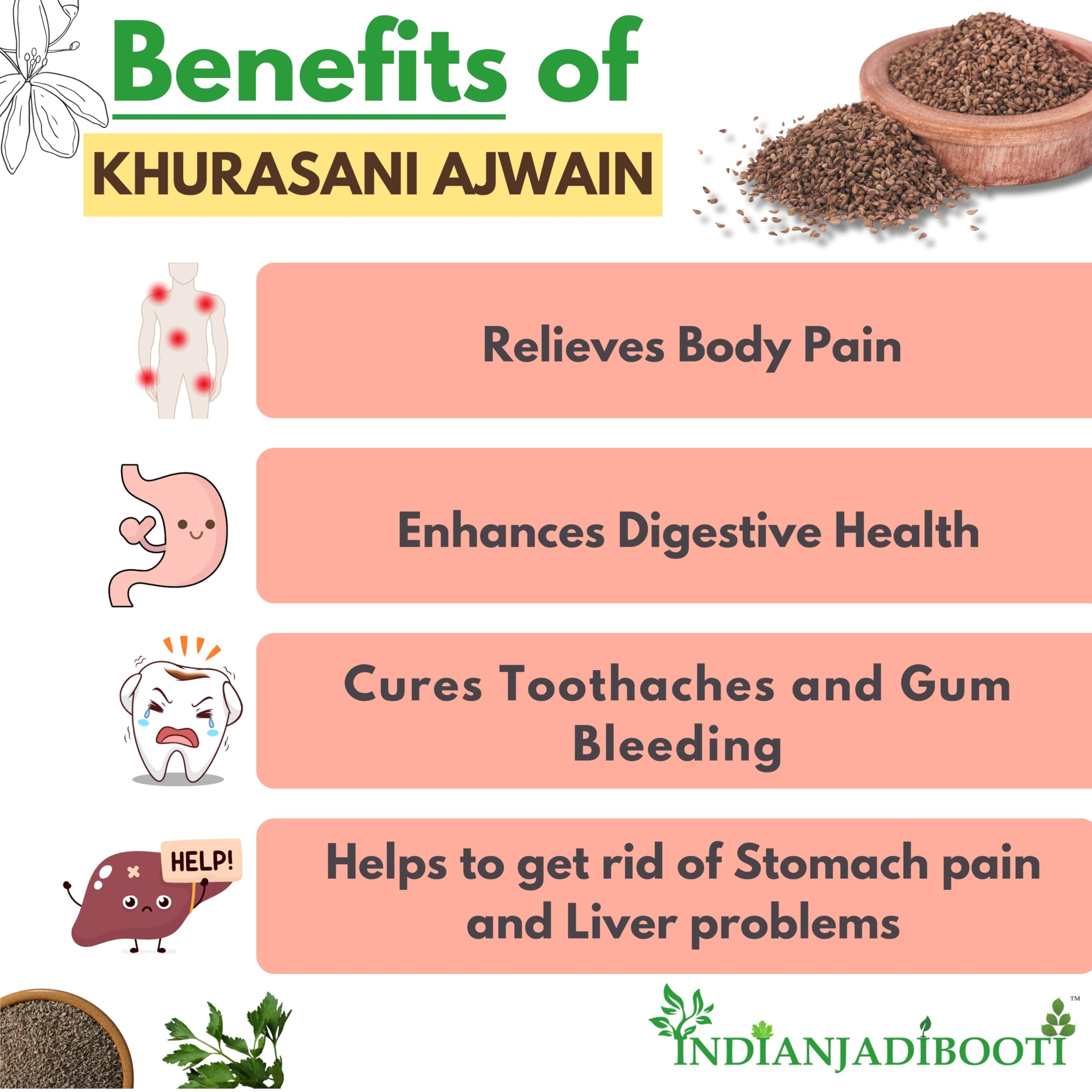 IndianJadiBooti Khurasani Ajwain | Hyoscyamus Nigerr | Black Henbane | Parasika Yavani | Madkarini Ajvayan | Parsekayavani | 100 Grams Pack, Seeds - Image 3 thumbnail