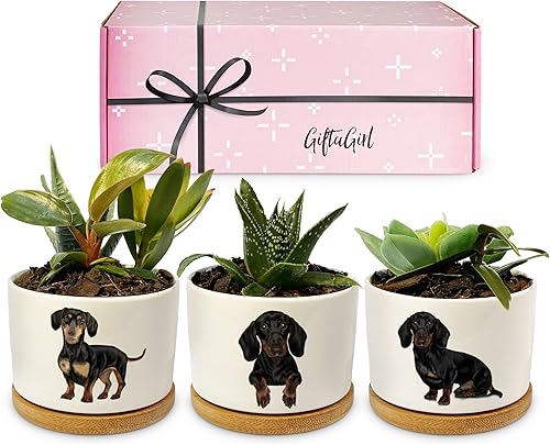 GIFTAGIRL - Los mejores regalos para mamá de Navidad o cumpleaños como nuestras bonitas macetas son ideas de regalo únicas para mamá perfectas para