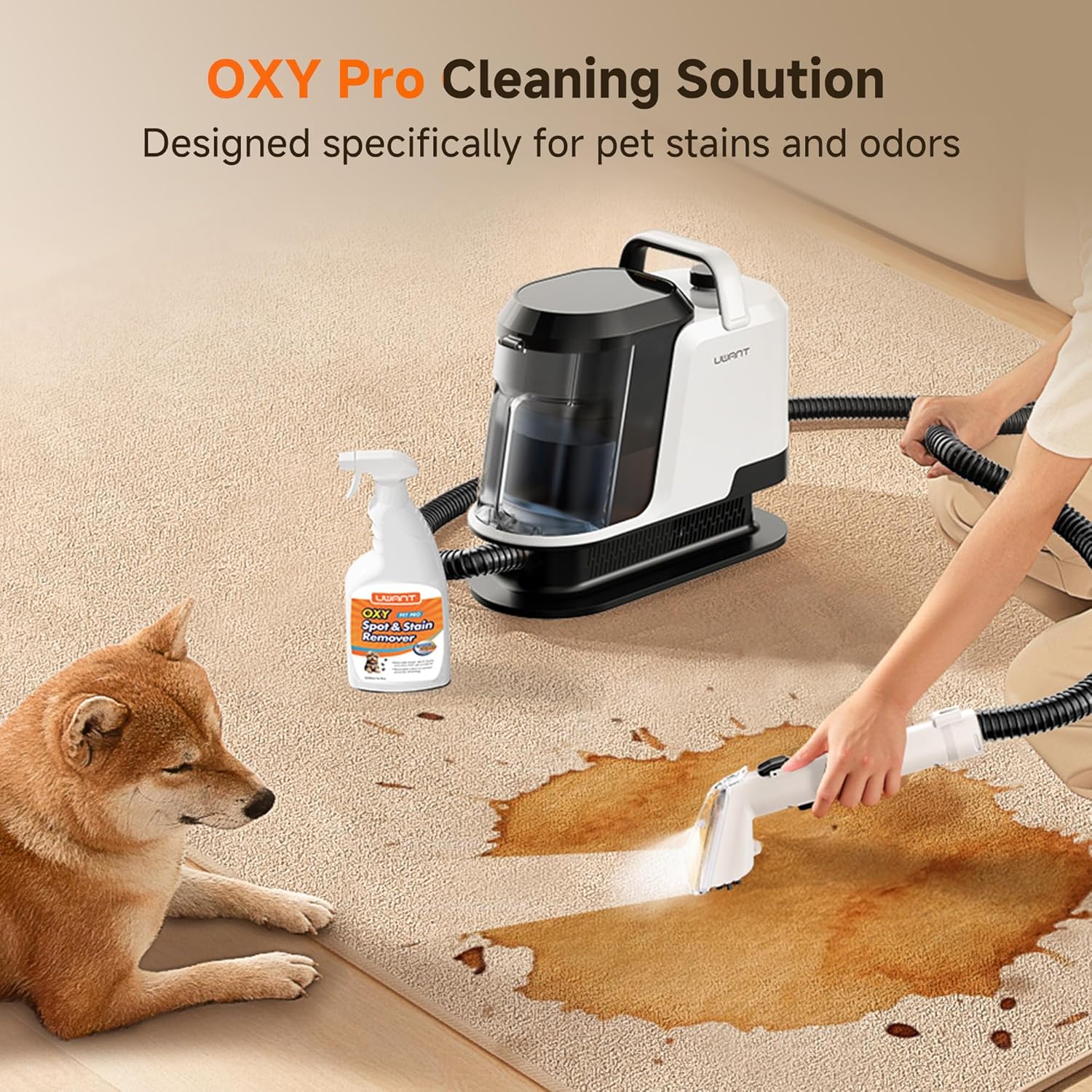 uwant Portable Carpet and Upholstery for Deep Cleaner, 18Kpa Carpet Cleaner Machine for Cars, Pets with Pet Pro Solution and Self Cleaning Set of 1 for Spot, Rug, Couch