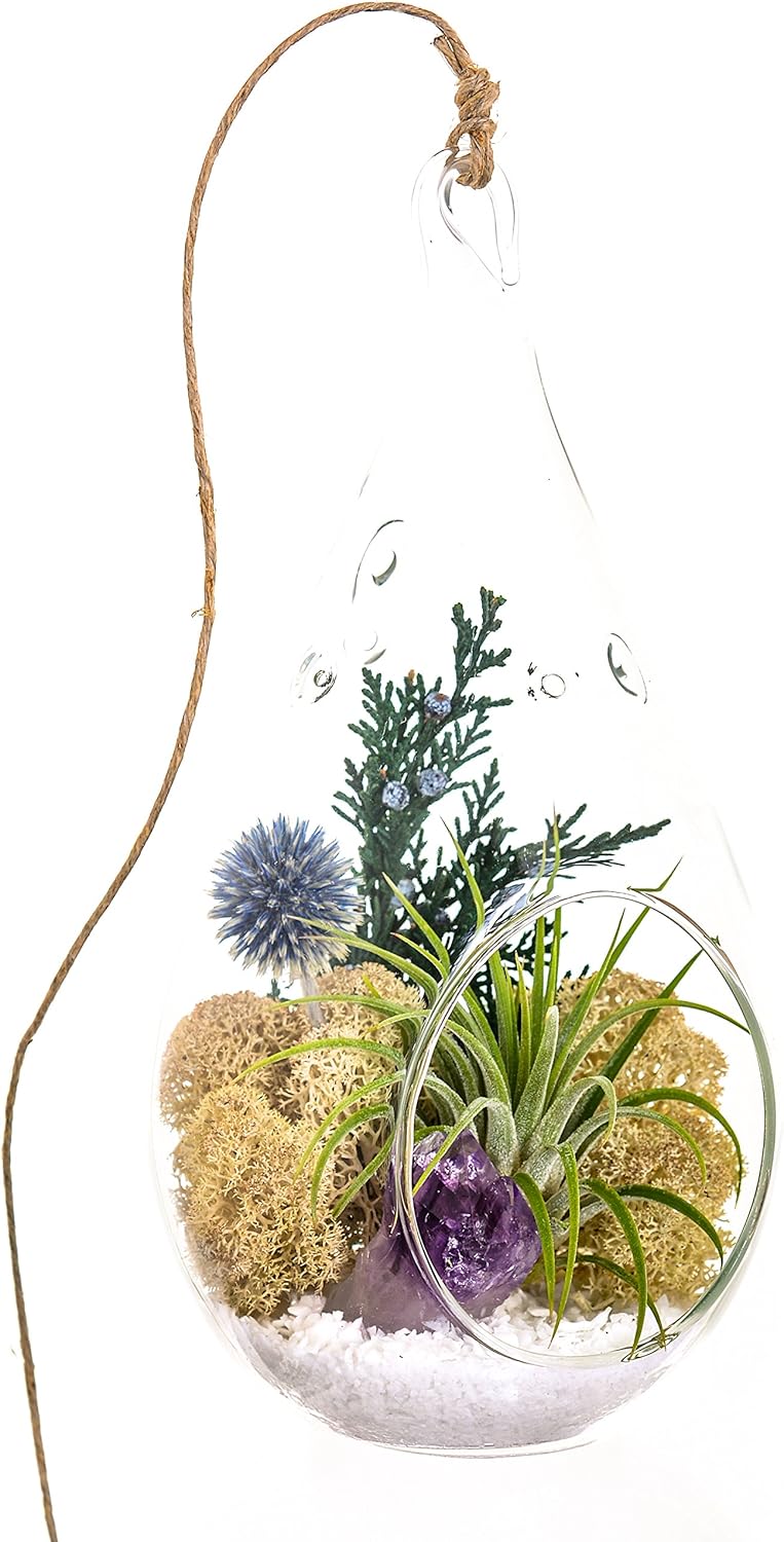 Air Plant Terrarium Kit with Purple Amethyst, Juniper, Moss - 7 inch Teardrop - Shabby Chic