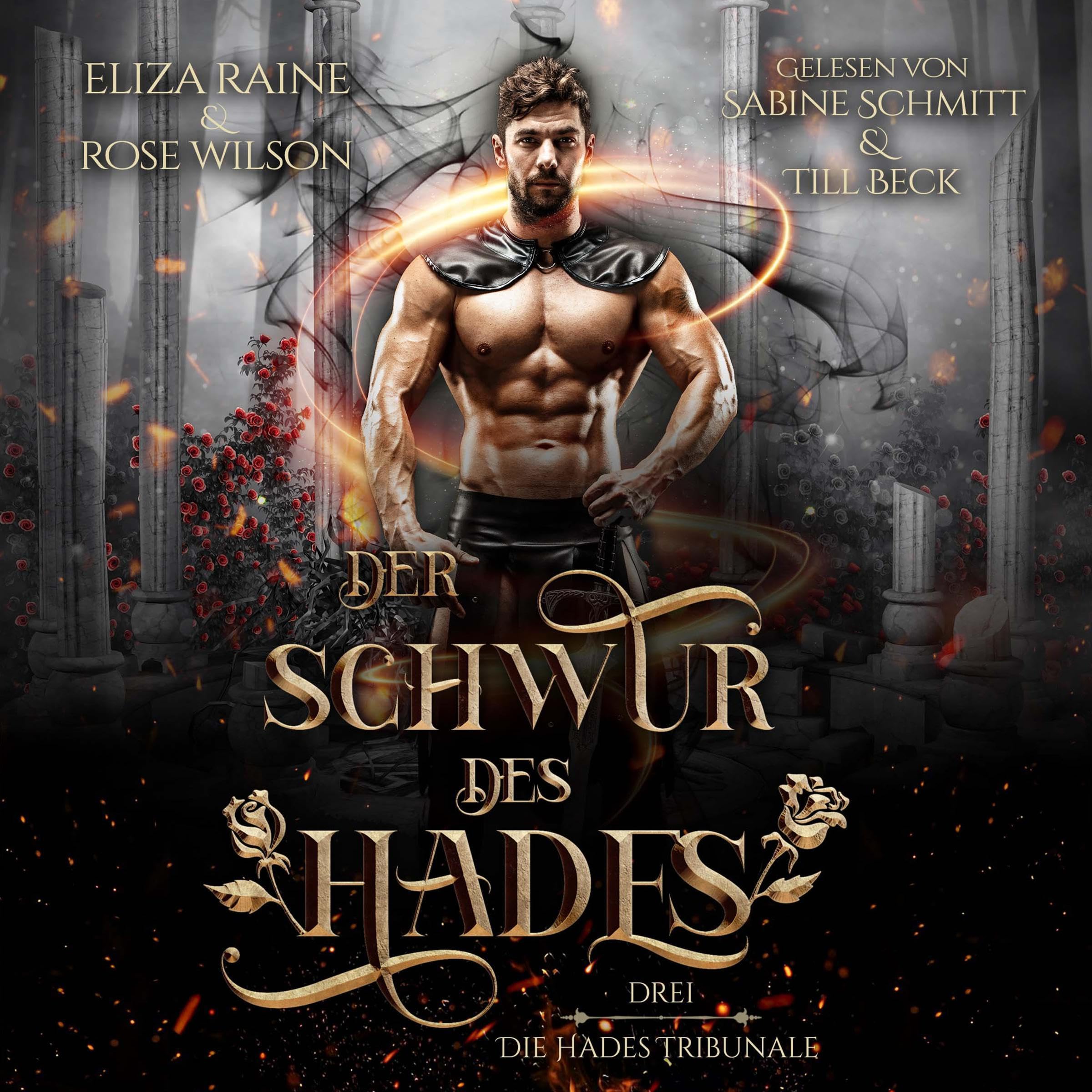 Cover art for Der Schwur des Hades