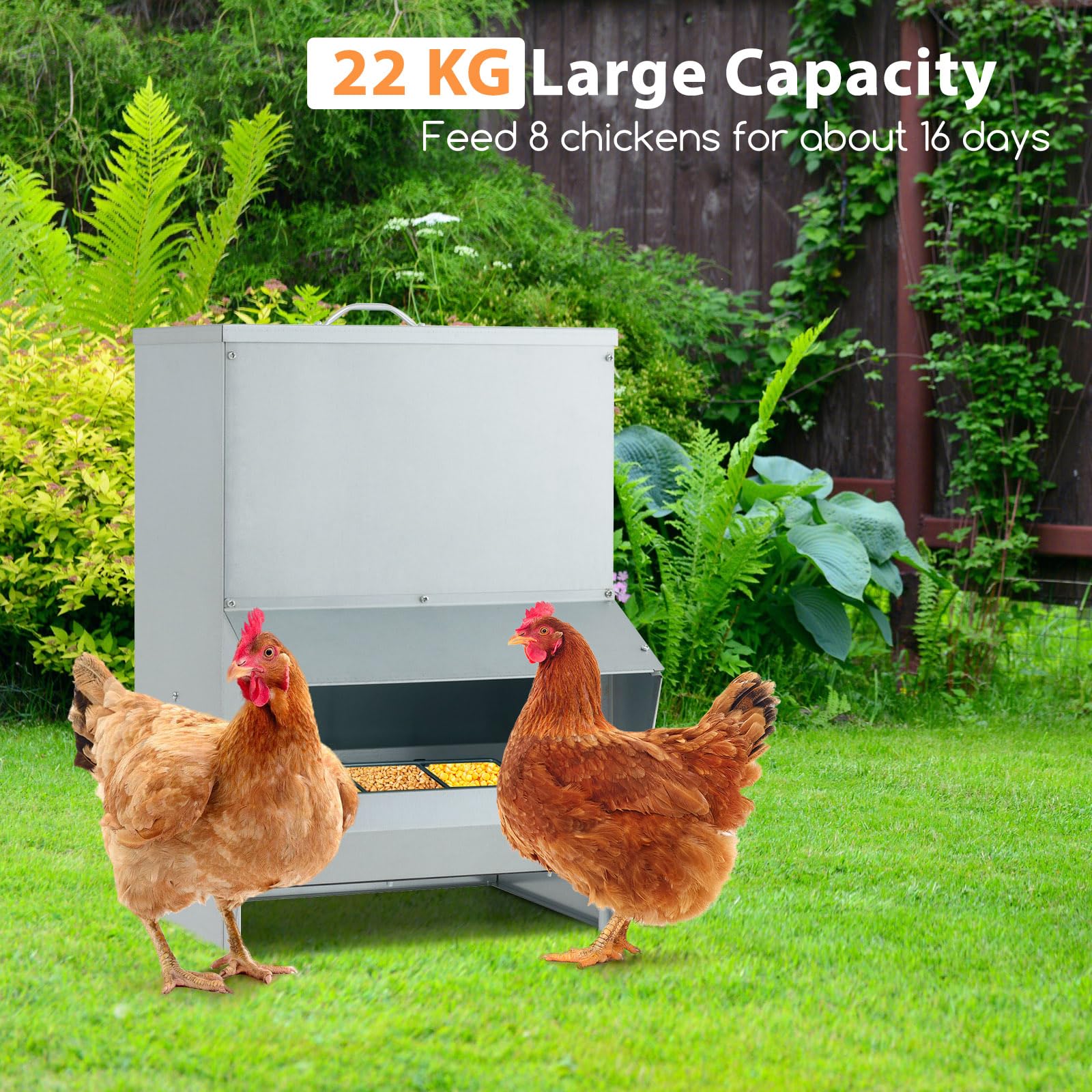 SOARS Mangiatoia per galline in metallo, capacità 22 kg, erogatore cibo su piedi e parete, con coperchio rimovibile, pre-foratura, per galline, oche, anatre, 35 x 26 x 54,5 cm