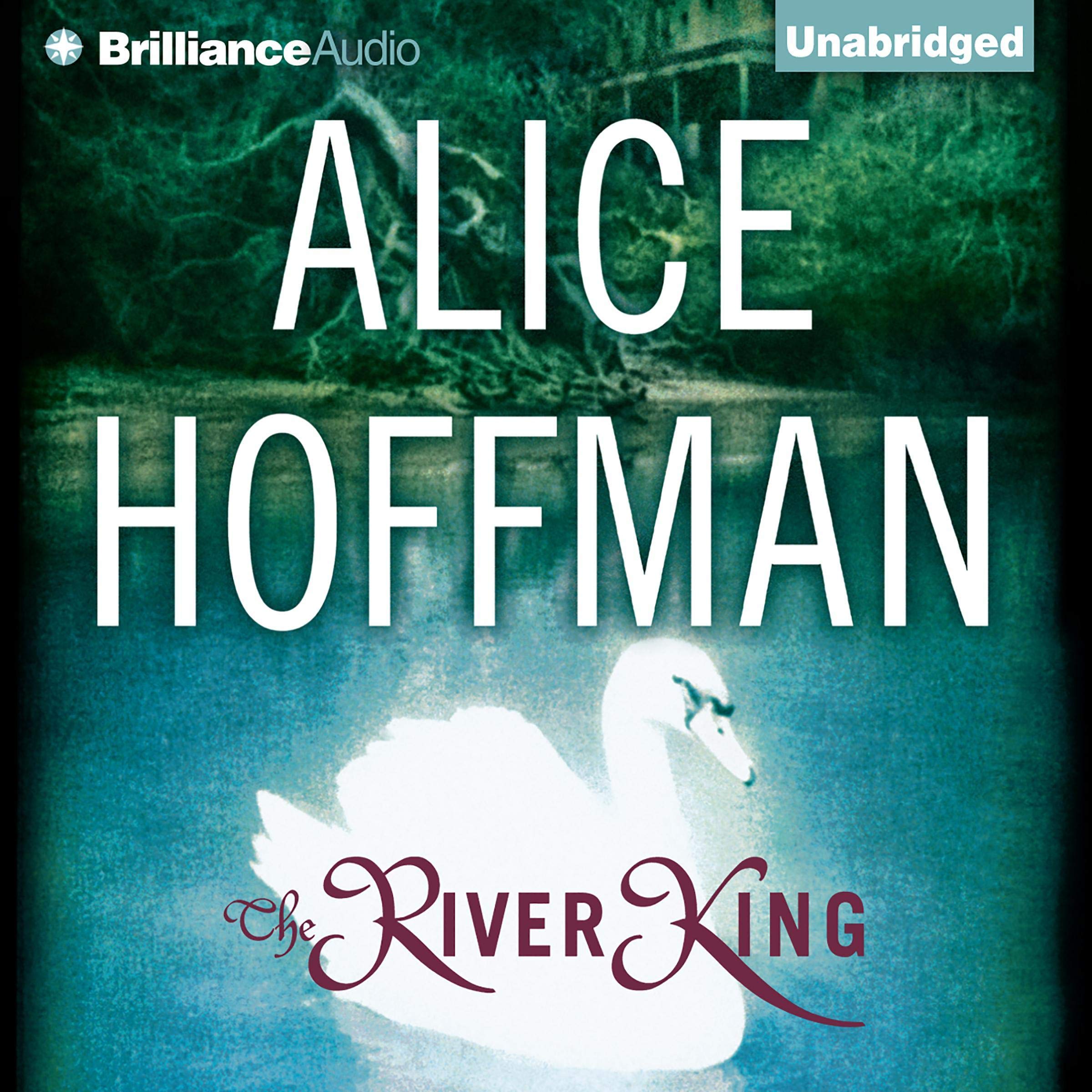 Cover art for The River King