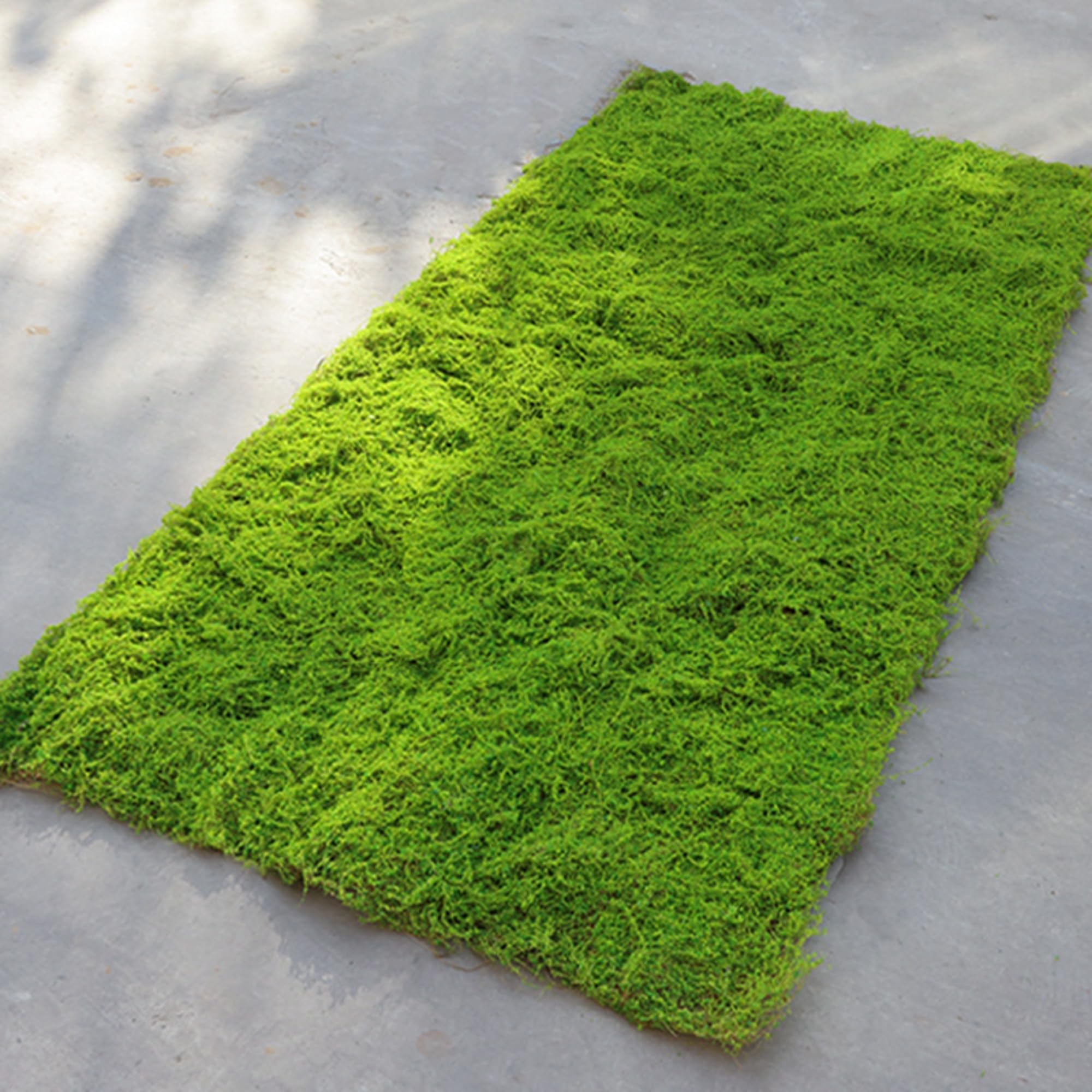 Kunst Moos Deko, Moosmatte, PE-Filamentgarn Moos zum Basteln für Frühlingsdeko, Moosbilder, Floristik, Terrarium Dekoration (100x200 cm)
