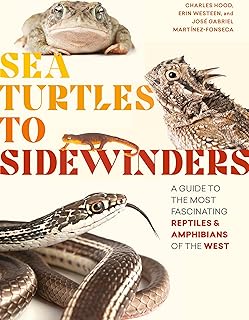 Sea Turtles to Sidewinders: A Guide to the Most Fascinating Reptiles and Amphibians of the West