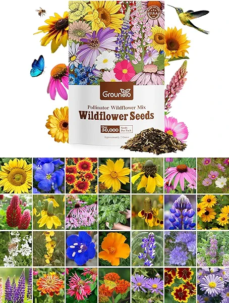 Groundio Wildflower Seeds Mix, 2 Oz, 50,000+, 28 Varieties Flowers Seeds for Planting, Annual Perennial Garden Seeds to Attract Bees, Butterflies & Birds