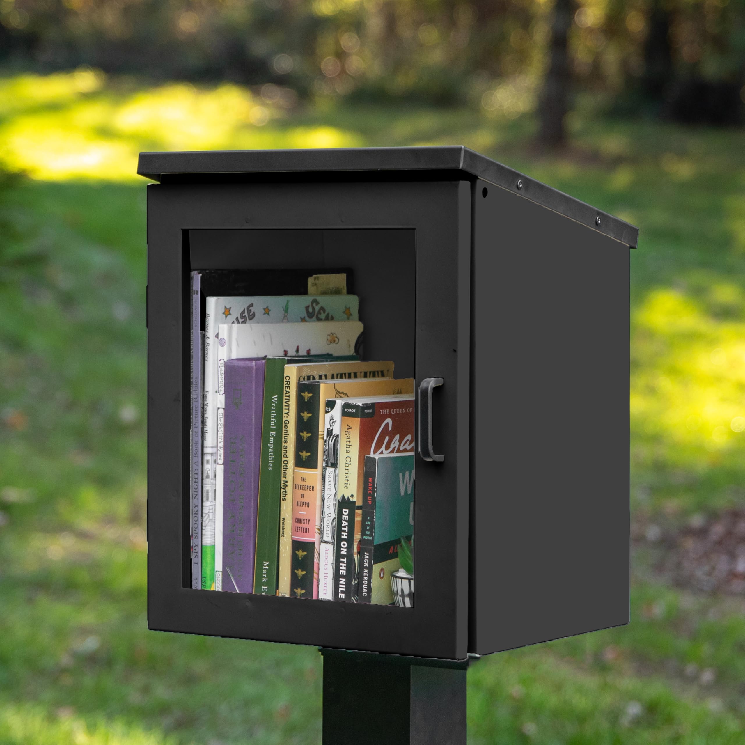 Amazon.com: Ilyapa Outdoor Library Book Box - Free Literature
