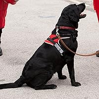 Vista 7 de 12 Piezas de Parches Tácticos Removibles para Arnés de Perro de Servicio, Chaleco para Perro de Servicio, Parches "Do Not Pet" para Perros