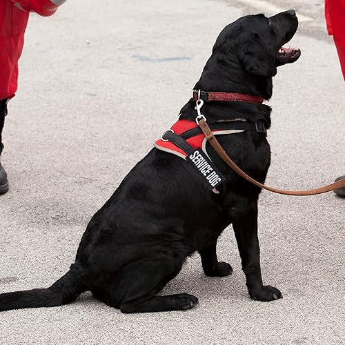 Miniatura 7 de 12 Piezas de Parches Tácticos Removibles para Arnés de Perro de Servicio, Chaleco para Perro de Servicio, Parches "Do Not Pet" para Perros en